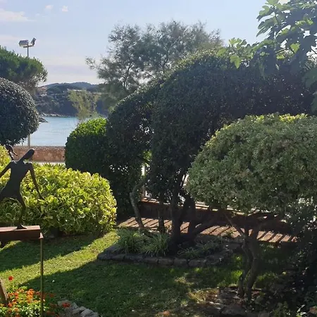 Casa Con Jardin A 40 Metros De La Playa. Vr. *