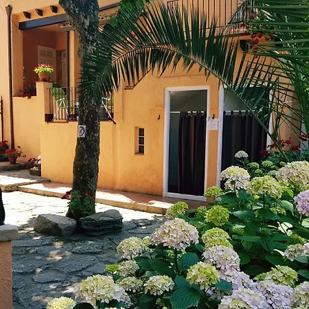 Casa Con Jardin A 40 Metros De La Playa. Vr.