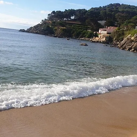 Casa Con Jardin A 40 Metros De La Playa. Vr. *