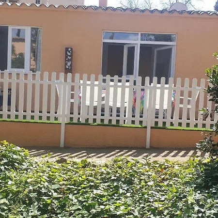 Casa Con Jardin A 40 Metros De La Playa. Vr. *
